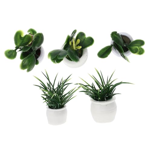 CHICAMPERA 5 Stück Mini-Pflanzenmodell Miniatur Mini-Topfpflanze Blumenmodell Dollhouse Greeny Bonsai-Handwerk Bonsai-Ornamente Mini- -Hausdekorationen Mini-Bonsai-Figuren-Ornament Plastik CHICAMPERA 5 Stück Mini-Pflanzenmodell Miniatur Mini-Topfpflanze Blumenmodell Dollhouse Greeny Bonsai-Handwerk Bonsai-Ornamente Mini- -Hausdekorationen Mini-Bonsai-Figuren-Ornament Plastik von CHICAMPERA