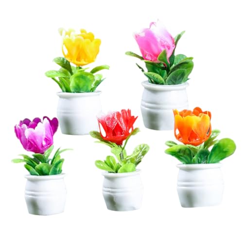 CHICAMPERA 5 Stück Mini-Pflanzenmodell Miniaturgartendekoration Miniatur-Bonsaischalen Blumentopffiguren Miniaturfiguren winzige Hausminiaturen Miniaturhauszubehör Mini-Blumentopf- Harz CHICAMPERA 5 Stück Mini-Pflanzenmodell Miniaturgartendekoration Miniatur-Bonsaischalen Blumentopffiguren Miniaturfiguren winzige Hausminiaturen Miniaturhauszubehör Mini-Blumentopf- Harz von CHICAMPERA