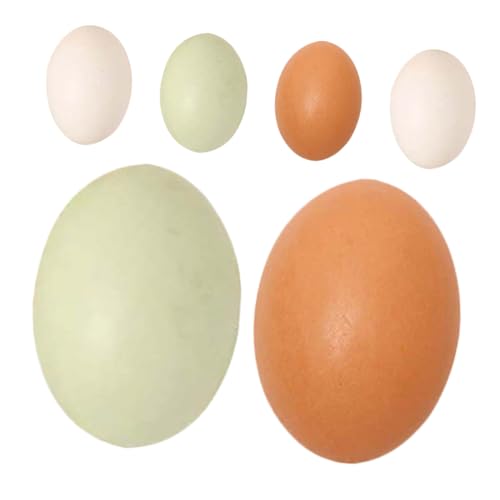 CHICAMPERA 6 Stück Kunsteier Eier Künstliche Eier Zum Bemalen Künstliche Eier Spiel Eier Simulierte Eier Realistische Eier DIY Bemalbare Eier Unbemalte Holzeier Eier CHICAMPERA 6 Stück Kunsteier Eier Künstliche Eier Zum Bemalen Künstliche Eier Spiel Eier Simulierte Eier Realistische Eier DIY Bemalbare Eier Unbemalte Holzeier Eier von CHICAMPERA
