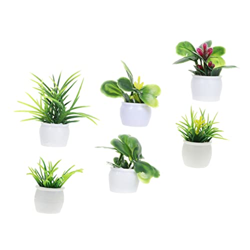 CHICAMPERA 6 Stück Mini Pflanzen Modell Teiliges Künstliche Pflanzen Figuren für Puppenhaus und Miniatur Landschaften Deko für Zuhause und Garten CHICAMPERA 6 Stück Mini Pflanzen Modell Teiliges Künstliche Pflanzen Figuren für Puppenhaus und Miniatur Landschaften Deko für Zuhause und Garten von CHICAMPERA