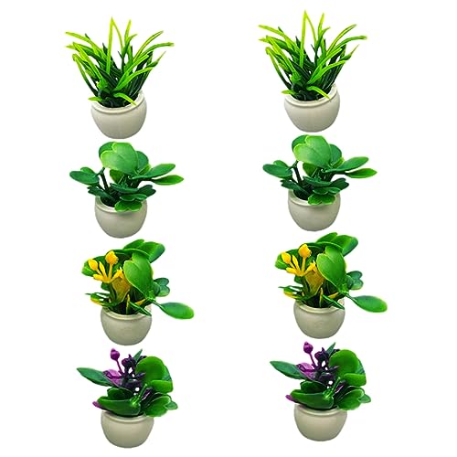 CHICAMPERA 8 Stück Mini-Pflanzenmodell Kleine Pflanzentöpfe Töpfe drinnen künstliche Topfpflanzen Minipflanzen eingetopft Miniatur-Topfpflanzen Miniaturen Miniaturdekoration Plastik CHICAMPERA 8 Stück Mini-Pflanzenmodell Kleine Pflanzentöpfe Töpfe drinnen künstliche Topfpflanzen Minipflanzen eingetopft Miniatur-Topfpflanzen Miniaturen Miniaturdekoration Plastik von CHICAMPERA