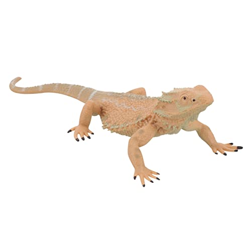CHICAMPERA Bearded Dragon Figurine Realistische Kunststoff Echse Lernspielzeug für Dekoration für Garten und Schule Langlebig und Sicher CHICAMPERA Bearded Dragon Figurine Realistische Kunststoff Echse Lernspielzeug für Dekoration für Garten und Schule Langlebig und Sicher von CHICAMPERA