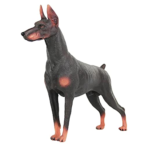 CHICAMPERA Dobermann Tierfigur für Realistische Hundefigur aus Robustem Lernspielzeug für Kleinkinder Kreative Geschenkidee und Dekoration CHICAMPERA Dobermann Tierfigur für Realistische Hundefigur aus Robustem Lernspielzeug für Kleinkinder Kreative Geschenkidee und Dekoration von CHICAMPERA