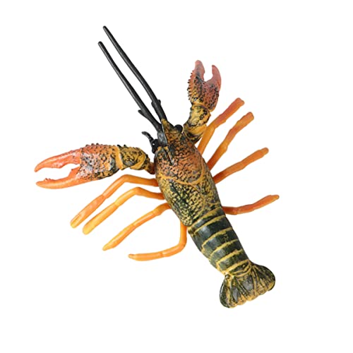 CHICAMPERA Lebensechtes Lobster Modellspielzeug Lustige für Tischdeko und Lernspielzeug für Meereslebewesen Geeignet für Geburtstags CHICAMPERA Lebensechtes Lobster Modellspielzeug Lustige für Tischdeko und Lernspielzeug für Meereslebewesen Geeignet für Geburtstags von CHICAMPERA