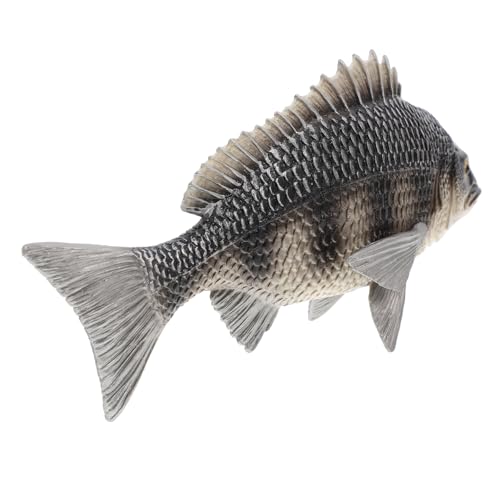 CHICAMPERA Lifelike Fische Modell Realistisches Tiermodell für Dekoration für Zuhause für Park Schule Kreatives Lernspielzeug für und Spaß CHICAMPERA Lifelike Fische Modell Realistisches Tiermodell für Dekoration für Zuhause für Park Schule Kreatives Lernspielzeug für und Spaß von CHICAMPERA