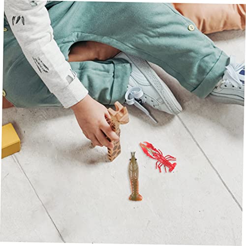 CHICAMPERA Lobster Wachstumszyklus Modellspielzeug Realistische Krustentier Figuren für Pädagogisch Fördernd Vielseitig als Lernspielzeug und Dekoration Geeignet von CHICAMPERA