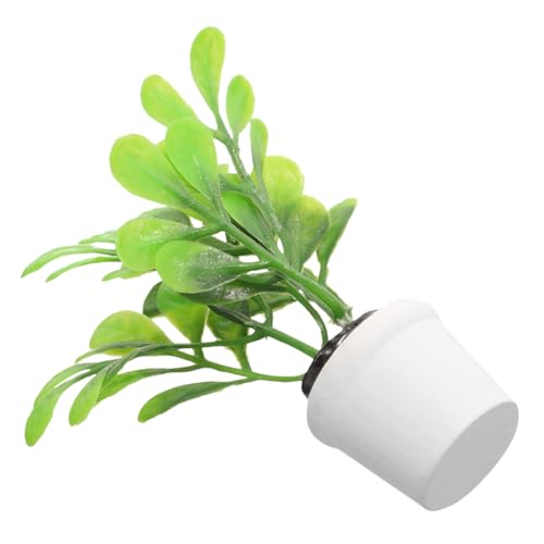 CHICAMPERA Mini -Topf -Dekoration eingetopft Anlage süßes Kleine künstliche Pflanzen Hausdekoration für Wohnzimmer Schreibtischdekoration ästhetisch Süßes Zimmerdekor Plastik CHICAMPERA Mini -Topf -Dekoration eingetopft Anlage süßes Kleine künstliche Pflanzen Hausdekoration für Wohnzimmer Schreibtischdekoration ästhetisch Süßes Zimmerdekor Plastik von CHICAMPERA