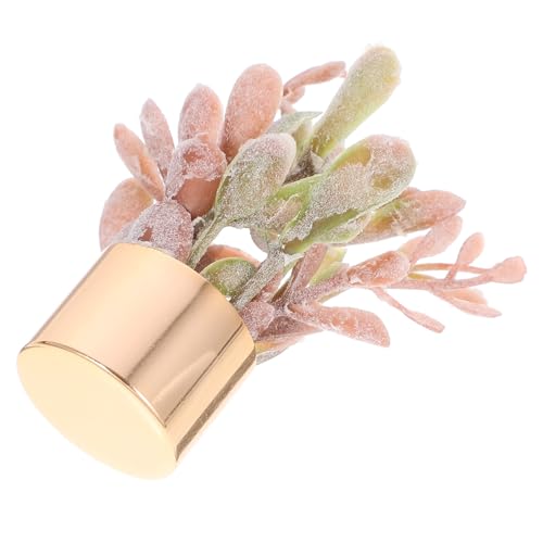 CHICAMPERA Mini-simulationsmodell Kunstpflanze Künstliche Pflanzen Winziges Bonsai- Desktop-Ornamente Für Zu Hause Miniatur-landschaftsdekor Sukkulenten Pflanzen Plastik Kaffee CHICAMPERA Mini-simulationsmodell Kunstpflanze Künstliche Pflanzen Winziges Bonsai- Desktop-Ornamente Für Zu Hause Miniatur-landschaftsdekor Sukkulenten Pflanzen Plastik Kaffee von CHICAMPERA