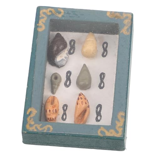 CHICAMPERA Miniatur DIY Puppenhaus Modellkasten Grünes Muscheln Aufbewahrungsbox für Sammler und Foto DIY Fördert Kreativität und Geschicklichkeit CHICAMPERA Miniatur DIY Puppenhaus Modellkasten Grünes Muscheln Aufbewahrungsbox für Sammler und Foto DIY Fördert Kreativität und Geschicklichkeit von CHICAMPERA
