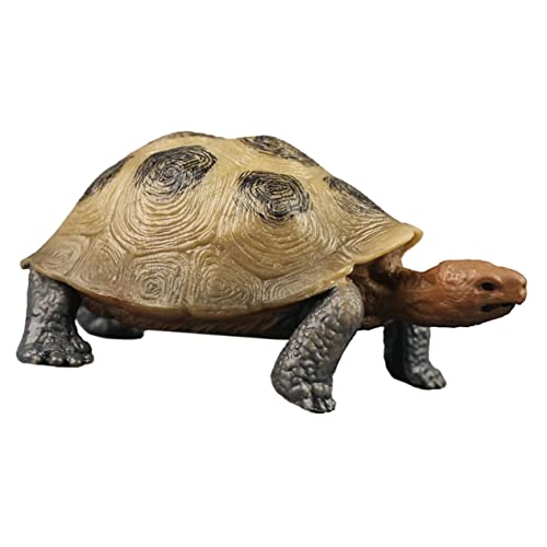 CHICAMPERA Plastikschildkröte Modellspielzeug aus Kognitive Landschildkröte für Tiererkennung Kreativität Fördern für Garten Deko Geschenkidee für Geburtstage von CHICAMPERA