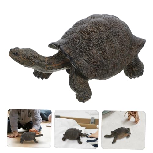 CHICAMPERA Realistische Schildkrötenfigur Tiermodell Kinderspielzeug Desktop Deko Lernspielzeug Naturnahes Design Glatte Oberfläche Sicher von CHICAMPERA