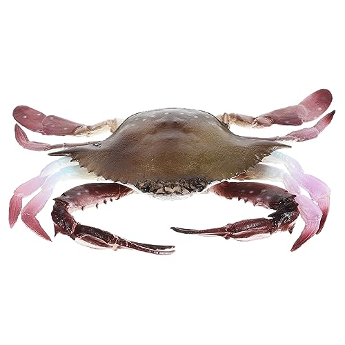 CHICAMPERA Realistisches Krabbenmodell aus PVC Imitation Eines Meereslebewesens Kreative Dekoration für Fischbecken Tolles Lernspielzeug für Realistische Krabbenfigur für Zuhause oder Büro CHICAMPERA Realistisches Krabbenmodell aus PVC Imitation Eines Meereslebewesens Kreative Dekoration für Fischbecken Tolles Lernspielzeug für Realistische Krabbenfigur für Zuhause oder Büro von CHICAMPERA