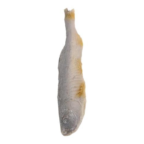 CHICAMPERA Realistisches Kunstfischmodell aus Harz Täuschend Echte Nachbildung Getrockneter Fisch Pflegeleichte Deko für Restaurant Schaufenster und Fotografie Leicht und Vielseitig CHICAMPERA Realistisches Kunstfischmodell aus Harz Täuschend Echte Nachbildung Getrockneter Fisch Pflegeleichte Deko für Restaurant Schaufenster und Fotografie Leicht und Vielseitig von CHICAMPERA