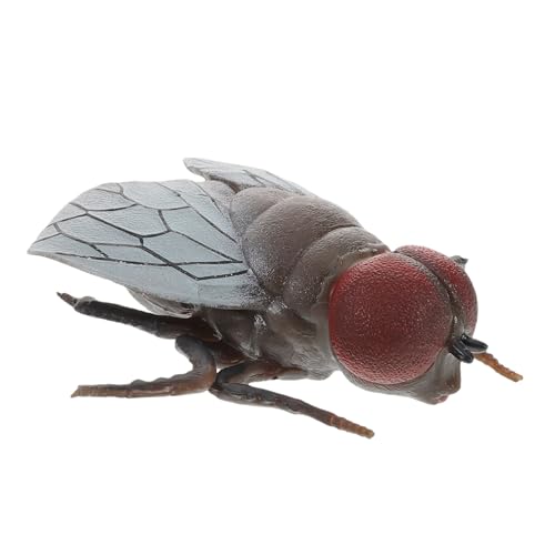 CHICAMPERA Simulationsfliege Realistisches Insekt Falsche Fliege Insektenstreiche Scherzfliege Für Scherz Realistische Kleine Fliegenkäfer Für Scherzpartys Und Scherzartikel CHICAMPERA Simulationsfliege Realistisches Insekt Falsche Fliege Insektenstreiche Scherzfliege Für Scherz Realistische Kleine Fliegenkäfer Für Scherzpartys Und Scherzartikel von CHICAMPERA