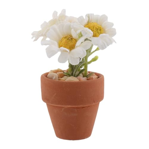 CHICAMPERA Topfblumen In Kunst Gänseblümchen Blumen Künstliche Blumen Hochzeits Simulationsblume Gänseblümchen Miniatur Bonsai Mini Pflanzen Puppenhaus Pflanzen Und Blumen CHICAMPERA Topfblumen In Kunst Gänseblümchen Blumen Künstliche Blumen Hochzeits Simulationsblume Gänseblümchen Miniatur Bonsai Mini Pflanzen Puppenhaus Pflanzen Und Blumen von CHICAMPERA