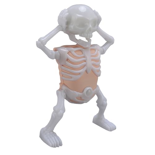 CHICIRIS Glow Dancing Skeleton Toy Glow Im Dunklen Schwingenden Skelett für mit Interaktiven Tanzbewegungen Unterhaltsamen Soundeffekten Halloween Dekor CHICIRIS Glow Dancing Skeleton Toy Glow Im Dunklen Schwingenden Skelett für mit Interaktiven Tanzbewegungen Unterhaltsamen Soundeffekten Halloween Dekor von CHICIRIS