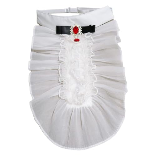 CHICTRY Renaissance Jabot Abnehmbare Rüschen gefälschte Kragen Viktorianische Barock Halskrause Cosplay Fasching Fotografie Weiß C One Size CHICTRY Renaissance Jabot Abnehmbare Rüschen gefälschte Kragen Viktorianische Barock Halskrause Cosplay Fasching Fotografie Weiß C One Size von CHICTRY