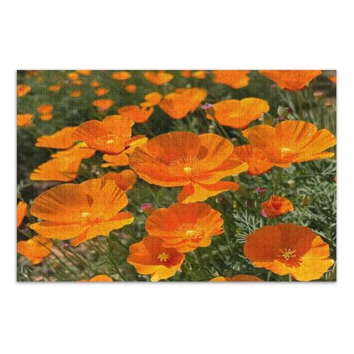 1000-teiliges Puzzle für Erwachsene, lebendige orangefarbene Mohnblumen, Familienpuzzles, lustige und farbenfrohe Kunstwerke, fertige Größe 75 x 50 cm von CHIFIGNO