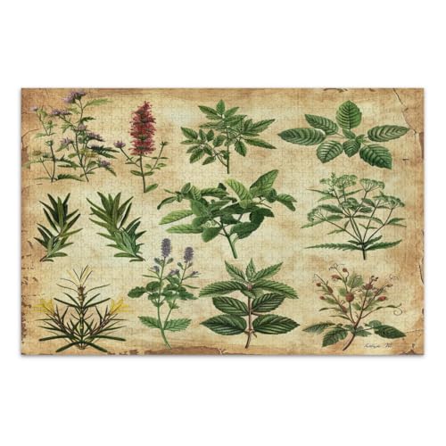 Vintage Botanical Herbs Jigsaw Puzzles 1000 Pieces Wonderful Puzzle Gifts for Women Men Cool Puzzles, Finished Size 29.5 x 19.7 Inch von CHIFIGNO