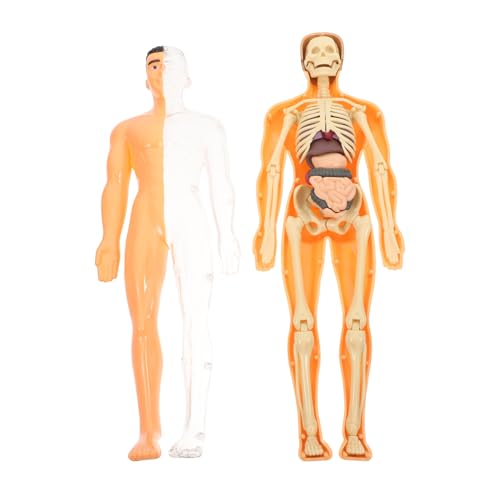 CHILDWEET Parodie Menschliche Anatomie Puzzle Interaktives Lernspielzeug Für Jungen Und Mädchen Skelettsystem von CHILDWEET