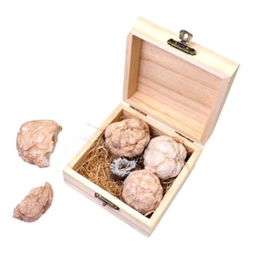 CHILDWEET Pädagogisches Geologie-set 4 Kristallachat-geoden-bergbau-set Für Jungen Und Mädchen Erwachsene von CHILDWEET