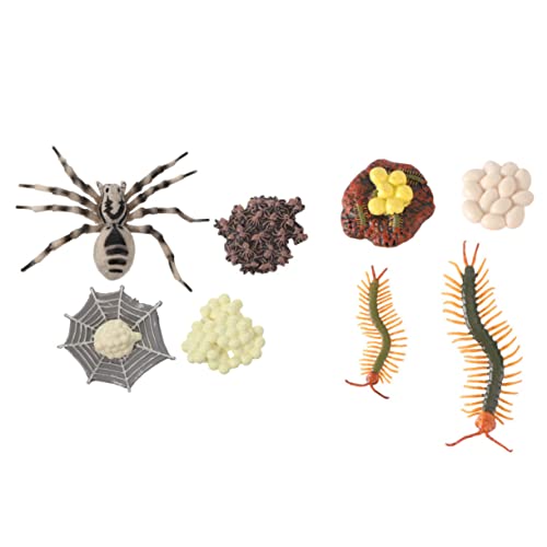 CHILDWEET Lebenszyklus Vogelspinne & Lernspielzeug Für Kinder 2 Sets Mit Plastiktieren von CHILDWEET
