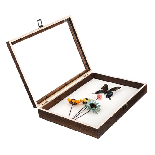 CHILDWEET Kasten Muster Vitrine Modell Steckbrett feststecken Pin Vitrine Präsentationsbox für Insektenpräparate Sammlerbox für Insekten gehäuse Probenvitrine Probenbehälter Acryl von CHILDWEET