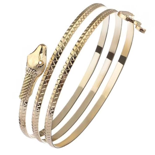 CHIZISX Ägyptischer Haarreif für Erwachsene, Teenager, Cosplay, goldene Farbe, Schlangenform, Armreif, Live-Übertragung, Halloween, Party, Kopfschmuck CHIZISX Ägyptischer Haarreif für Erwachsene, Teenager, Cosplay, goldene Farbe, Schlangenform, Armreif, Live-Übertragung, Halloween, Party, Kopfschmuck von CHIZISX