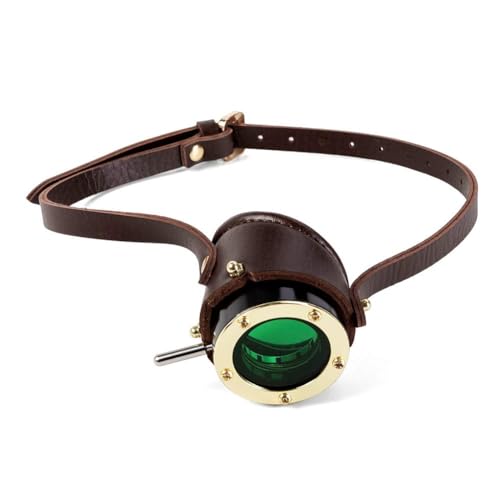 CHJIEXDEC Halloween Steampunk-Brille, viktorianischer Stil, Luxusklasse, Festival, Rave-Brille, Vintage, Schweißen, Cosplay (D2) von CHJIEXDEC