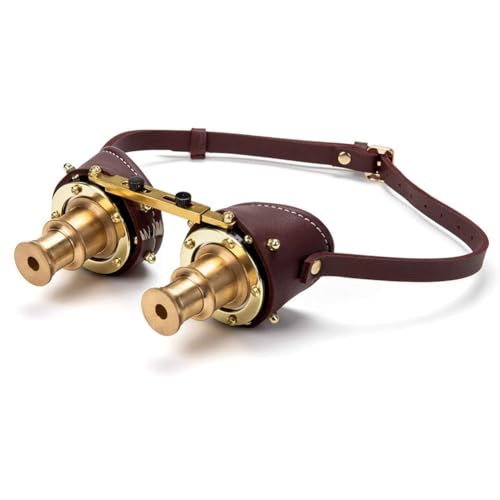 CHJIEXDEC Halloween-Steampunk-Brille, viktorianischer Stil, Luxusklasse, Festival, Rave-Brille, Vintage-Schweißen, Cosplay, (H) von CHJIEXDEC