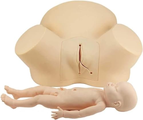CHROX PVC Geburtshilfe und Gynäkologie Geburtstag Simulator Fetal Modell Fortgeschrittene Hebamme Geburtsvorführungsmodelle für Gynäkologieunterricht Komplettset CHROX PVC Geburtshilfe und Gynäkologie Geburtstag Simulator Fetal Modell Fortgeschrittene Hebamme Geburtsvorführungsmodelle für Gynäkologieunterricht Komplettset von CHROX