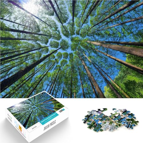 Puzzle für Erwachsene, 1000 Teile Bäume im Wald Natur Aus Holz für Kinder ab 14 Jahren Startseite Lernspiele DIY Spielzeug Tolle Geschenke und Spielzeuge。Größe:50x75cm/19.6x29.5Zoll Puzzle für Erwachsene, 1000 Teile Bäume im Wald Natur Aus Holz für Kinder ab 14 Jahren Startseite Lernspiele DIY Spielzeug Tolle Geschenke und Spielzeuge。Größe:50x75cm/19.6x29.5Zoll von CHTLIFQ