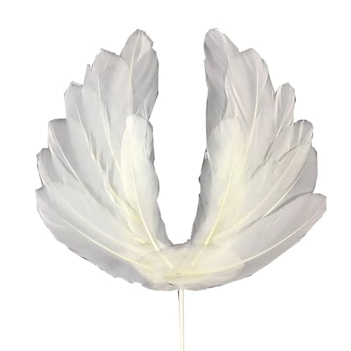 Geburtstagstorte Deko 2 Stück Tortendeko Dekoration Kuchen Dekoration Kuchen Topper Federn Cake Topper Tortenafsätze Feder Weihnachtstorte Deko Cupcake Topper Für Geburtstagstorte Party von CHTME