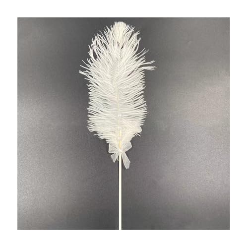 Geburtstagstorte Deko 2 Stück Tortendeko Dekoration Kuchen Dekoration Kuchen Topper Federn Cake Topper Tortenafsätze Feder Weihnachtstorte Deko Cupcake Topper Für Geburtstagstorte Party von CHTME