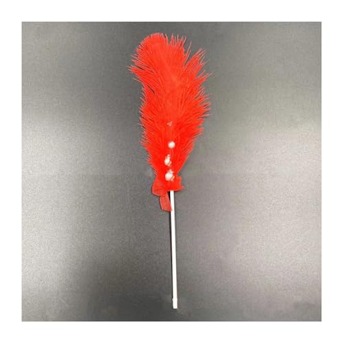 Geburtstagstorte Deko 2 Stück Tortendeko Dekoration Kuchen Dekoration Kuchen Topper Federn Cake Topper Tortenafsätze Feder Weihnachtstorte Deko Cupcake Topper Für Geburtstagstorte Party von CHTME