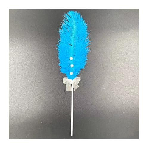 Geburtstagstorte Deko 2 Stück Tortendeko Dekoration Kuchen Dekoration Kuchen Topper Federn Cake Topper Tortenafsätze Feder Weihnachtstorte Deko Cupcake Topper Für Geburtstagstorte Party von CHTME