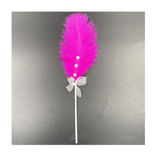 Geburtstagstorte Deko 2 Stück Tortendeko Dekoration Kuchen Dekoration Kuchen Topper Federn Cake Topper Tortenafsätze Feder Weihnachtstorte Deko Cupcake Topper Für Geburtstagstorte Party von CHTME