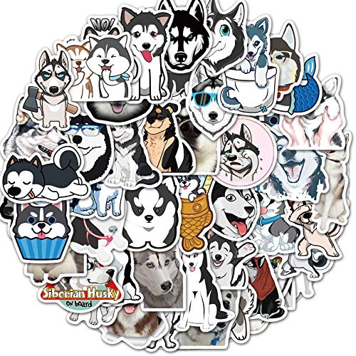 CHUANGOU 50 Stück Aufkleber Hund Husky, Aufkleber, modisch, einzigartig, für Laptop, Motorrad, Skateboard, Gepäck CHUANGOU 50 Stück Aufkleber Hund Husky, Aufkleber, modisch, einzigartig, für Laptop, Motorrad, Skateboard, Gepäck von CHUANGOU
