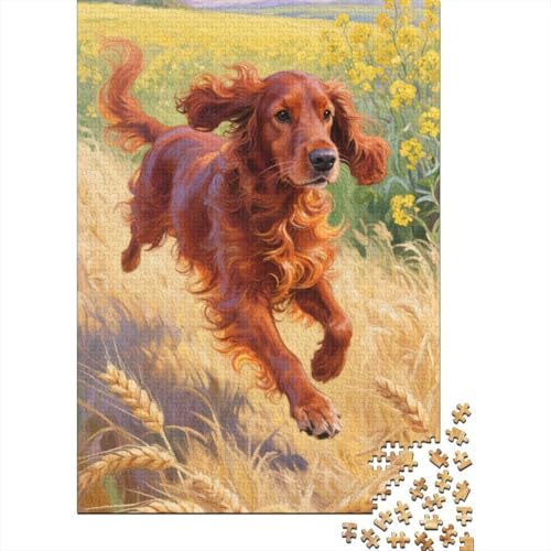 Irish Setter Puzzle 1000 Teile Schwer Puzzle Spielzeug Pädagogisches Spiel Impossible Herausforderungsspielzeug Für Erwachsene Und Kinder Ab 12 Jahren 1000pcs (75x50cm) von CHUIYUFULAN