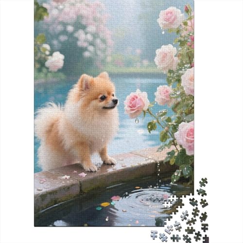 Pomeranian Puzzles 1000 Teile Schwer Puzzle Spielzeug Lernspiel Impossible Herausforderungsspielzeug Für Erwachsene Und Kinder in Bewährter 1000pcs (75x50cm) von CHUIYUFULAN