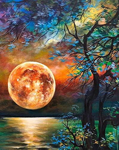 CICISTORY Malen nach Zahlen Erwachsene, DIY Paint by Numbers DIY Handgemalt Ölgemälde Kit für Kinder Anfänger Zuhause Deko CICISTORY Malen nach Zahlen Erwachsene, DIY Paint by Numbers DIY Handgemalt Ölgemälde Kit für Kinder Anfänger Zuhause Deko von CICISTORY