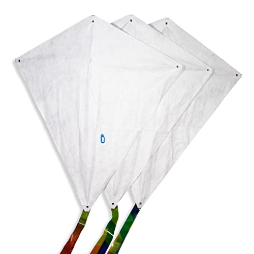 CIM Drachen-Bausätze - 3 Stück - Fixi-M - Komplettsets zum selber basteln - Jeder Drachen mit 60x66cm Drachensegel X 20m Drachenschnur auf Handgriff und 250cm langen Drachenschwänzen - Basteldrachen - Bastel-Drachen von CIM