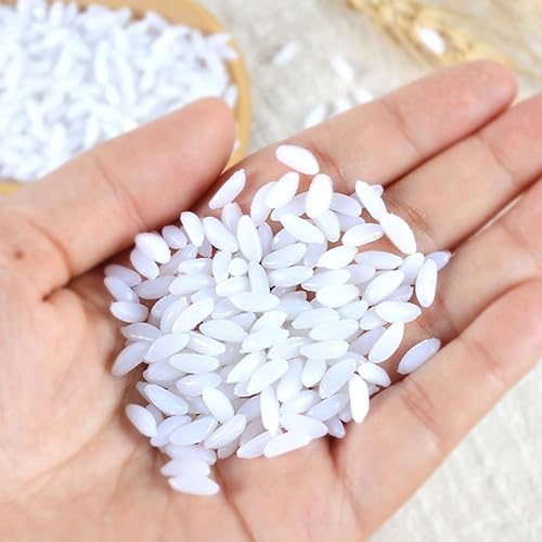 CIYODO 1 Food-Show-Modell chinesisches Lebensmittelmodell Modelle Könige gefälschte Lebensmittelspielzeuge dekorative Reisstützen Getreide schmücken Futternapf Reiskörner Zubehör Plastik von CIYODO