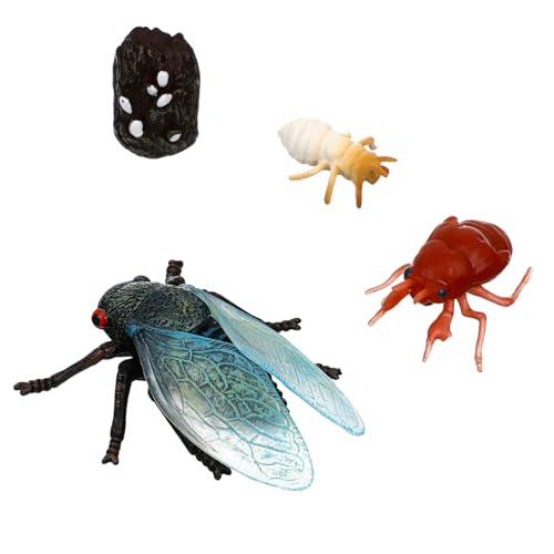 CIYODO Cicada Lebenszyklus Figuren Modell Für Junge Mädchen Lehrreiche Simulation des Insektenwachstums Sicherer Für Vorschulbildung Und Lernspielzeug von CIYODO