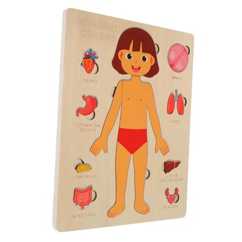 CIYODO 1 Satz Menschliche Körperstruktur Puzzlespielzeug schaufensterpuppe Puzzle sortierschalen spielzeuge puzzlekleber kognitives Rätsel mit Organen aus Holz Lehrmittel CIYODO 1 Satz Menschliche Körperstruktur Puzzlespielzeug schaufensterpuppe Puzzle sortierschalen spielzeuge puzzlekleber kognitives Rätsel mit Organen aus Holz Lehrmittel von CIYODO