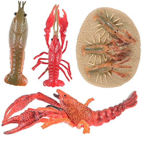 CIYODO 1 Satz Hummer-wachstums-Spielzeug Kunststoff-Modell Simulationsspielzeug Hummerfiguren Lernspielzeug Für Kinder von CIYODO