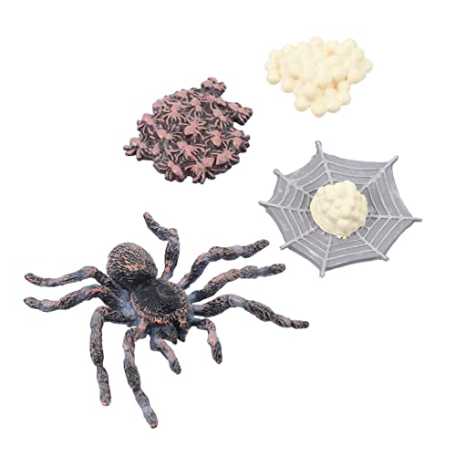 CIYODO 1 Set Tierwissenschaftliches Lernspielzeug Lernspielzeug Für Den Lebenszyklus Einer Spinne Modell des Lebenszyklus Von Kindern Wachstumszyklen Lehrmittel Tiermodelle von CIYODO