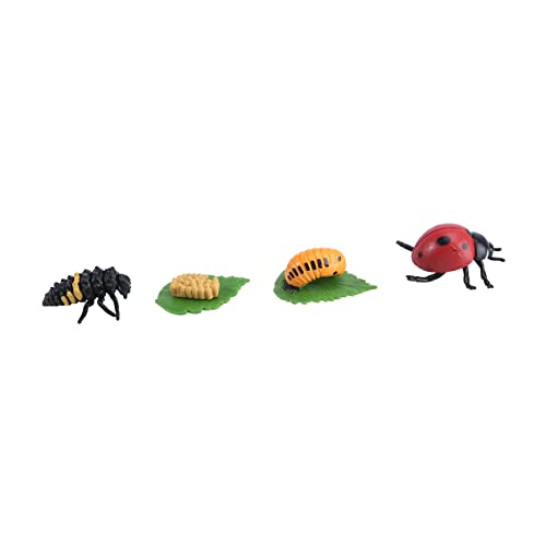 CIYODO 1 Stern Marienkäfer Modell Modelle Kinderspielzeug Spielzeugmodell Tierdekoration Tiermodell Simulation Tierornamente Tierentwicklungsmodell Tierwachstumsmodell Bauchmuskeln von CIYODO