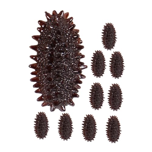 CIYODO 10 Stück Künstliche Seegurke Seeschnecke Meeresfrüchte Obst Gefälschtes Spiel Vortäuschen Positives Faux Modelle Kognitives Modell Seegurkenmodell Lebensmittelmodell Desktop CIYODO 10 Stück Künstliche Seegurke Seeschnecke Meeresfrüchte Obst Gefälschtes Spiel Vortäuschen Positives Faux Modelle Kognitives Modell Seegurkenmodell Lebensmittelmodell Desktop von CIYODO