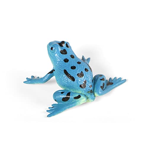 CIYODO 12 Stück Simulationsfroschmodell Sprung Kaulquappe Miniatur Mini-Froschfiguren Kleinkind Frosch Stressspielzeug mini Frosch Figuren kleine frösche Figuren Frogs von CIYODO